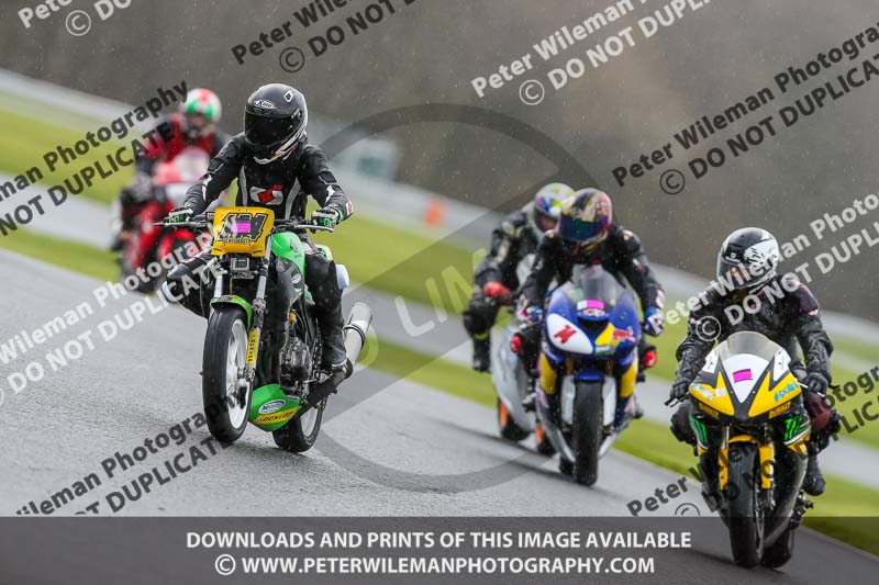 Oulton Park 14th March 2020;PJ Motorsport Photography 2020;anglesey;brands hatch;cadwell park;croft;donington park;enduro digital images;event digital images;eventdigitalimages;mallory;no limits;oulton park;peter wileman photography;racing digital images;silverstone;snetterton;trackday digital images;trackday photos;vmcc banbury run;welsh 2 day enduro